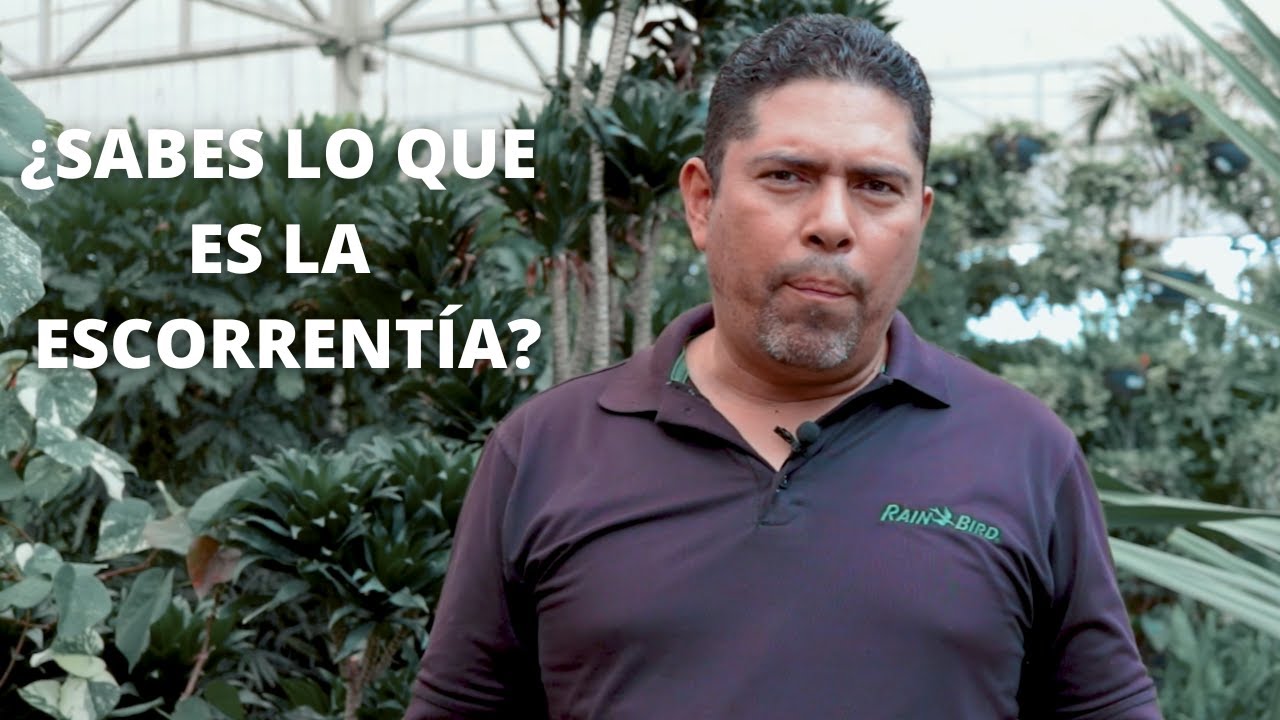 &iquest;Sabes lo que es la escorrent&iacute;a?