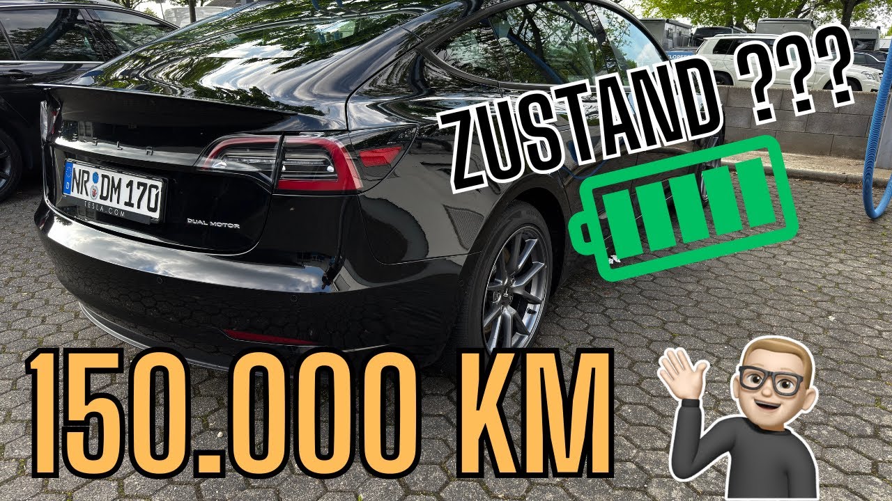 Tesla Model 3 LR - Gebrauchtwagen Check + Akku auslesen