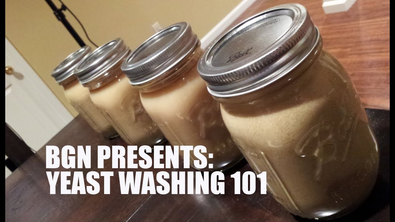 Yeast Harvesting and Washing 101 | Beer Geek Nation Homebrew Videos
