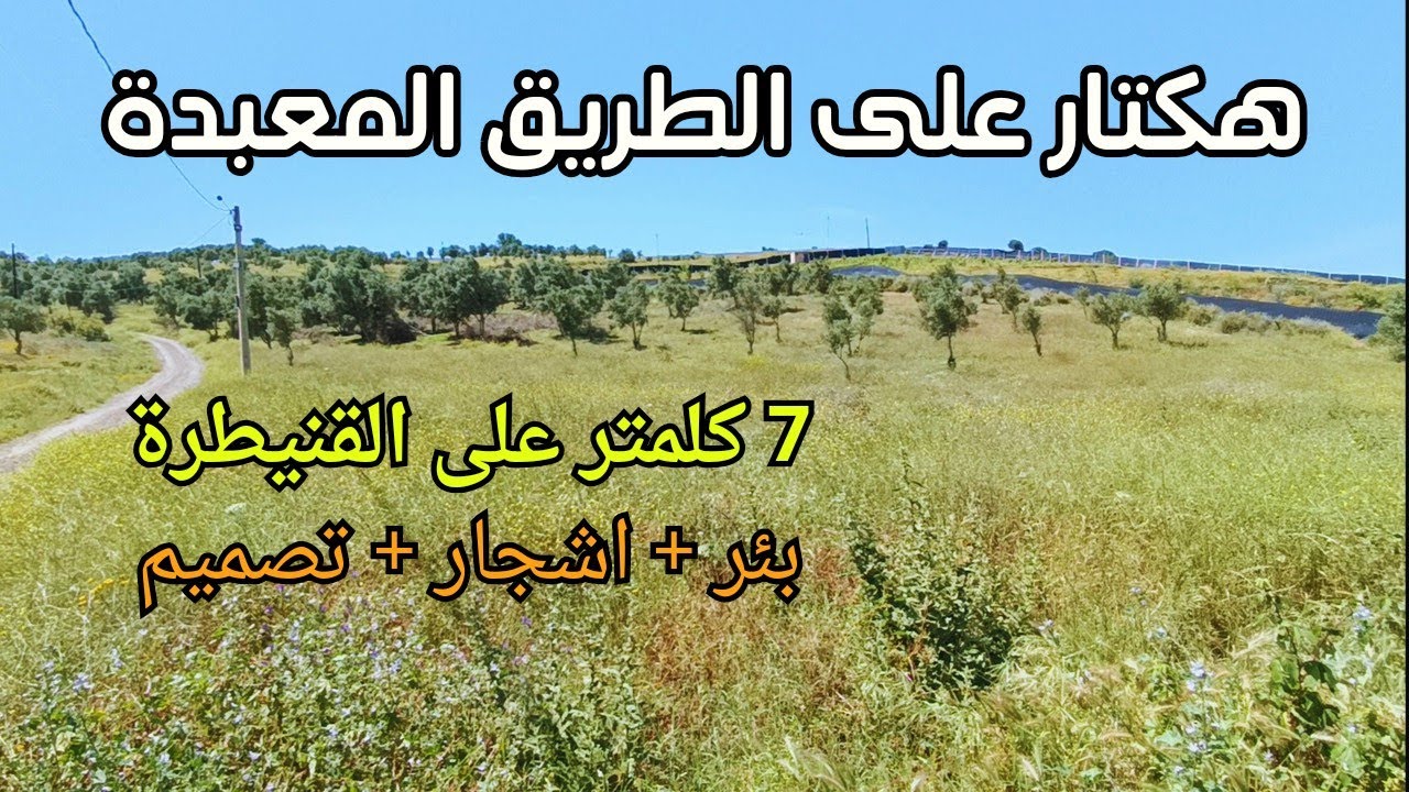 هكتار قريب جدا من القنيطرة على طريق معبدة ، بها بئر و أشجار مثمرة
