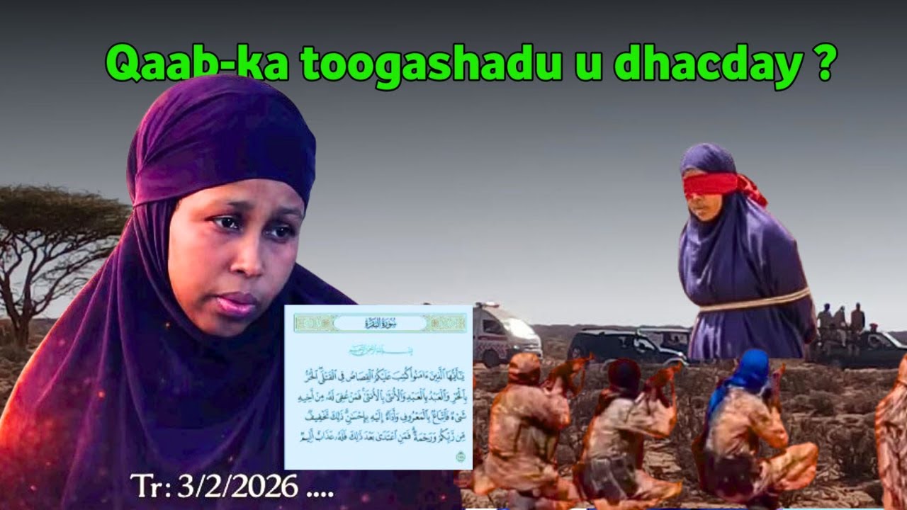Daawo hodan Dardaarankeedii Udanbeeyey Somaali oodhan Fariin Udirtay Ka Hor intaan La Toogan Kana da