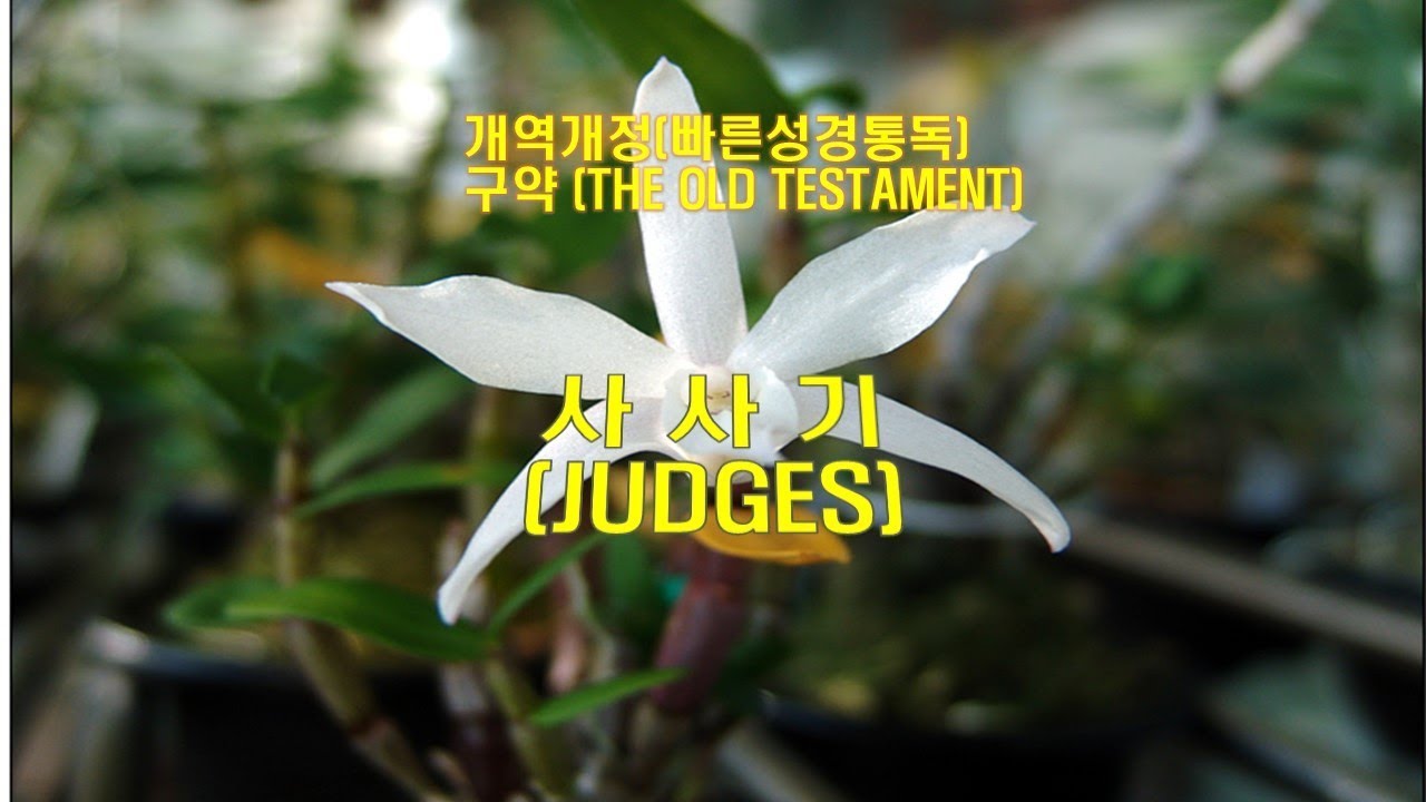 (개역개정 성경)_사사기