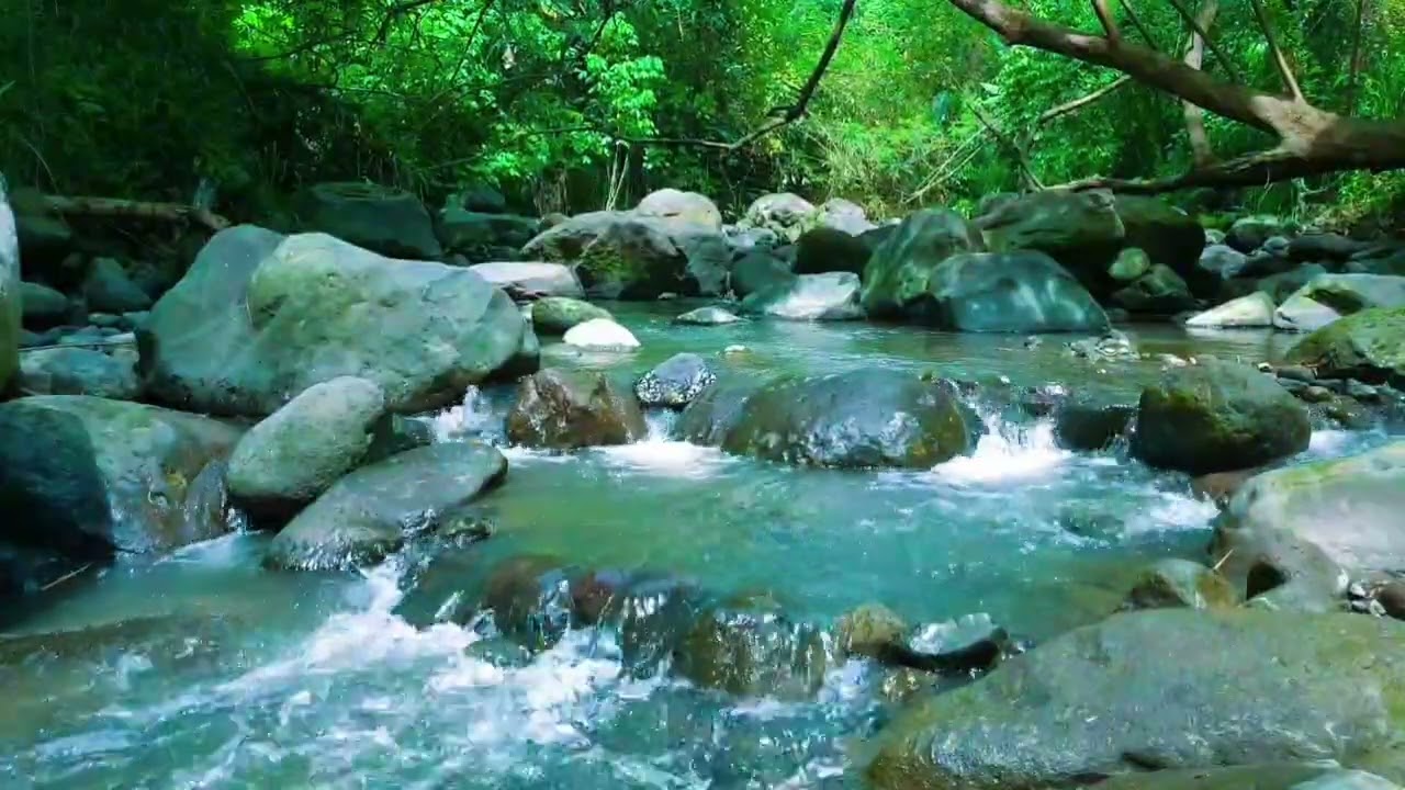 1 Hour River Flowing: Natural White Noise for Focus, Studying, and Working