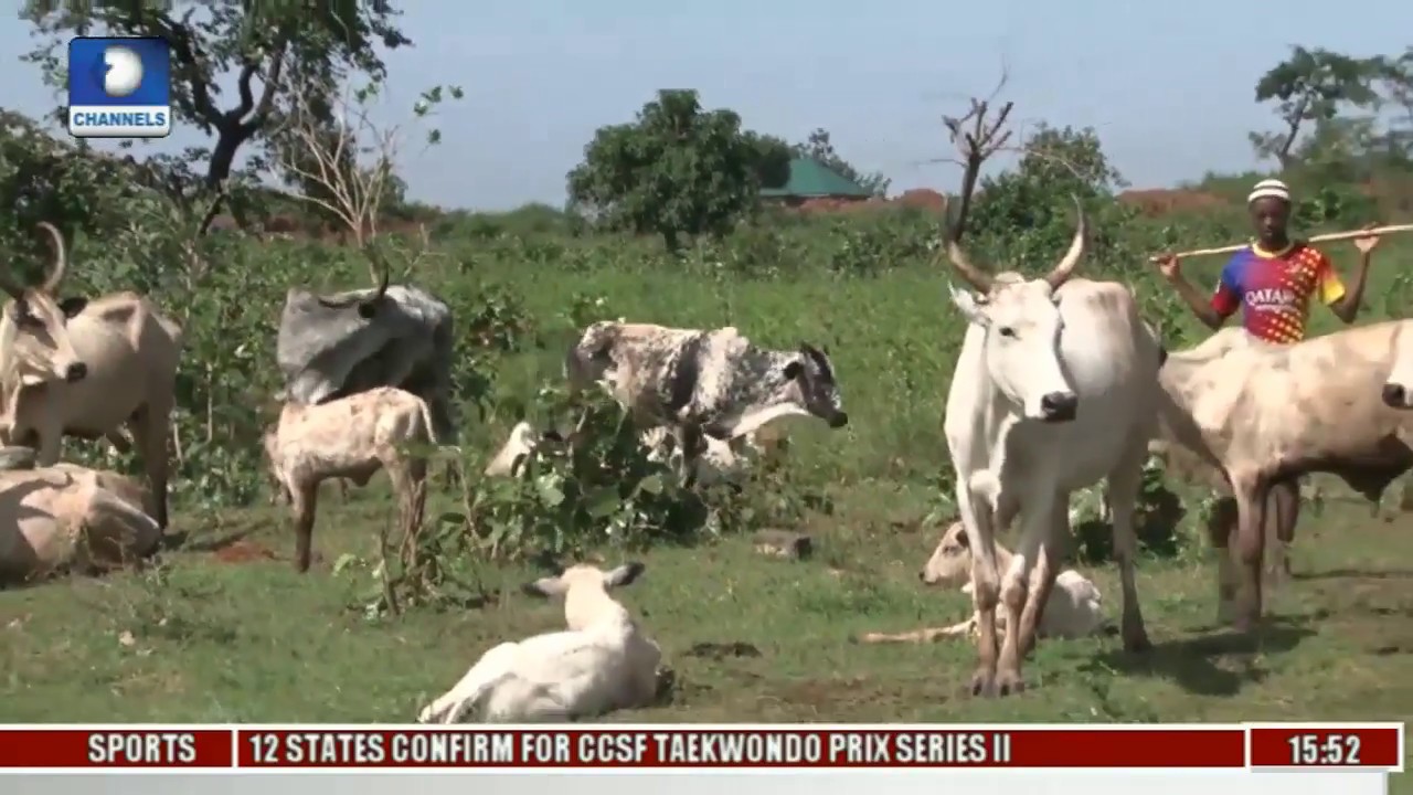Big Story: Mixed Reactions Greet Midterm Report Of Buhari Administration Pt 3
