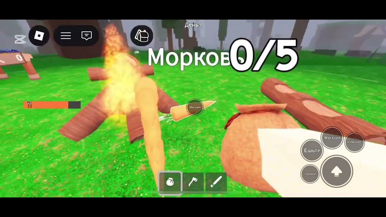СХОДКА!!