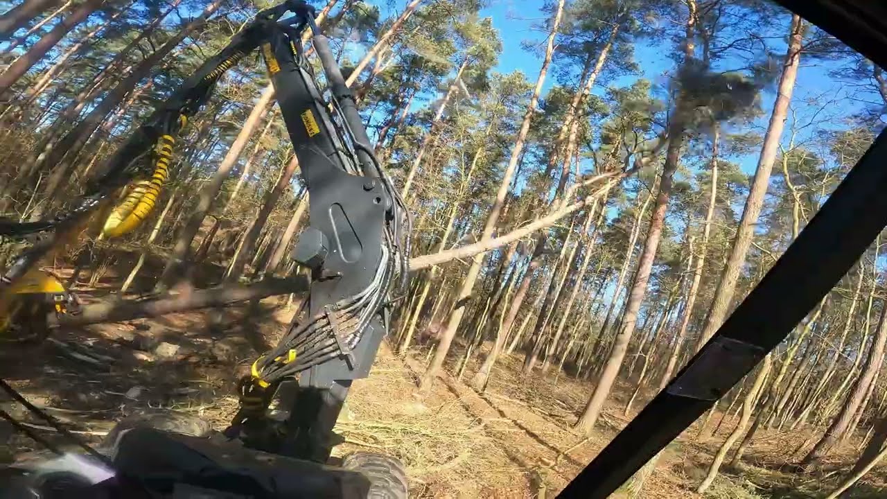 Kolejny monolog w kabinie🌲Ponsse Ergo