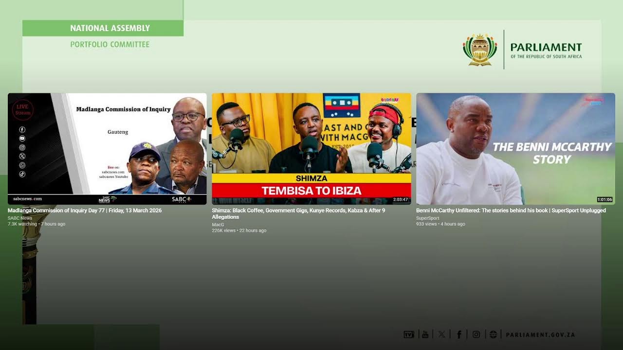 Ad hoc Committee to Investigate Allegations made by Lieutenant General Mkhwanazi