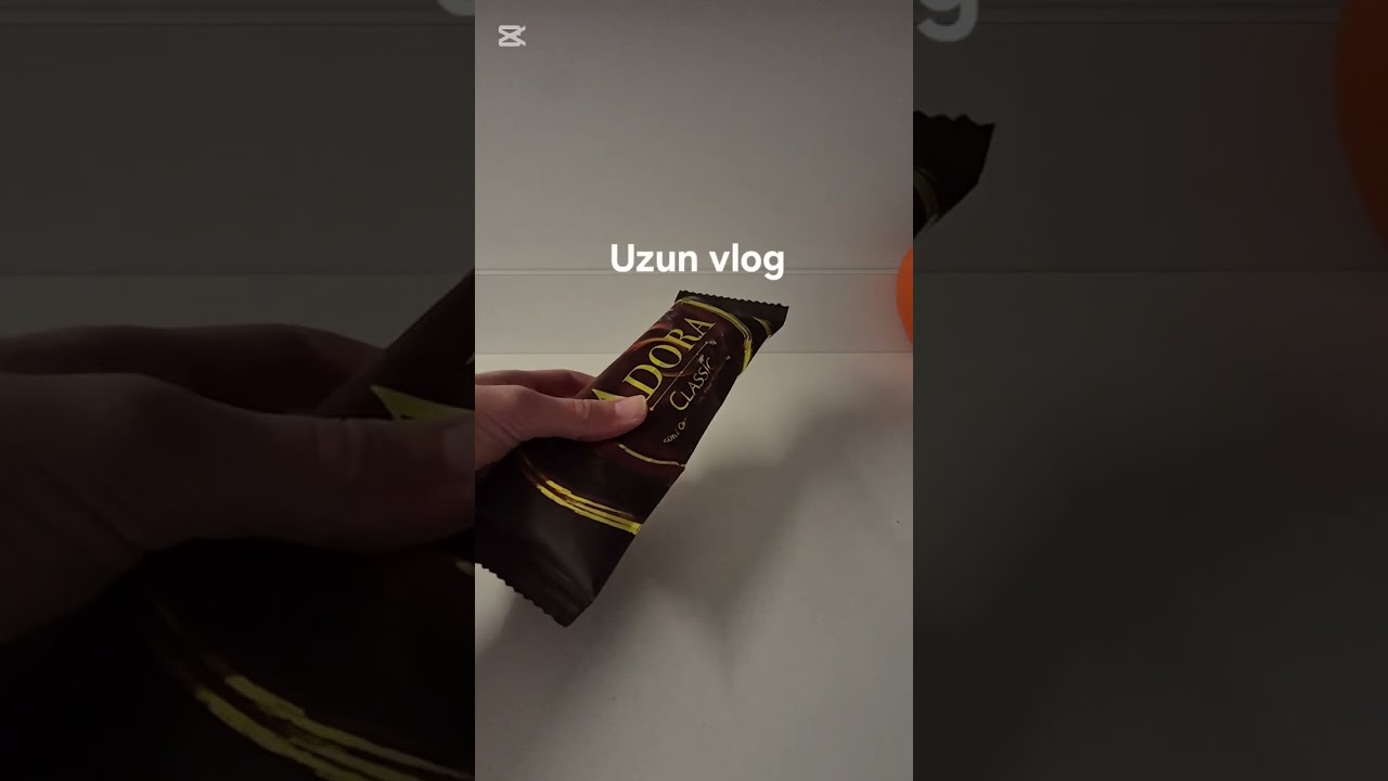 Uzun vlog