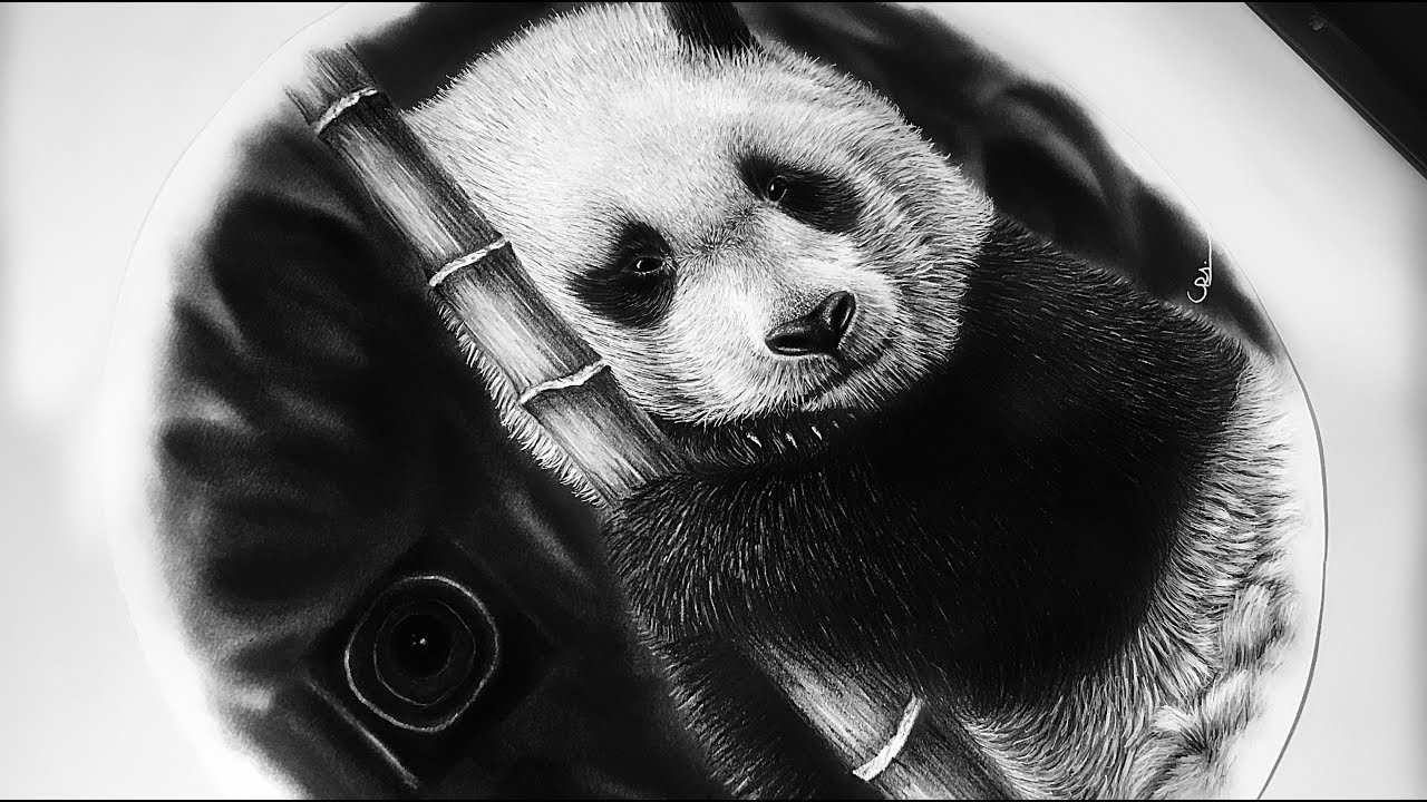 Drawing a realistic BABY PANDA || Ys draws