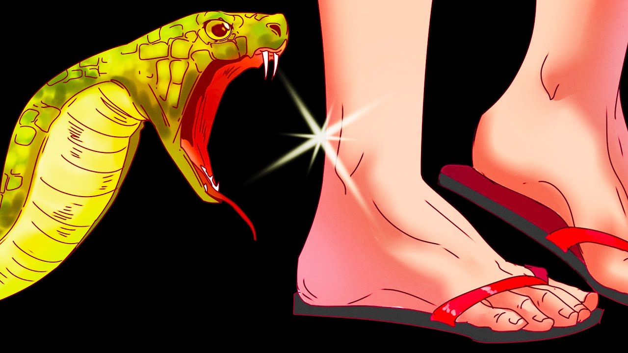 Cosa Succede Al Tuo Organismo Se Ti Morde Un Serpente