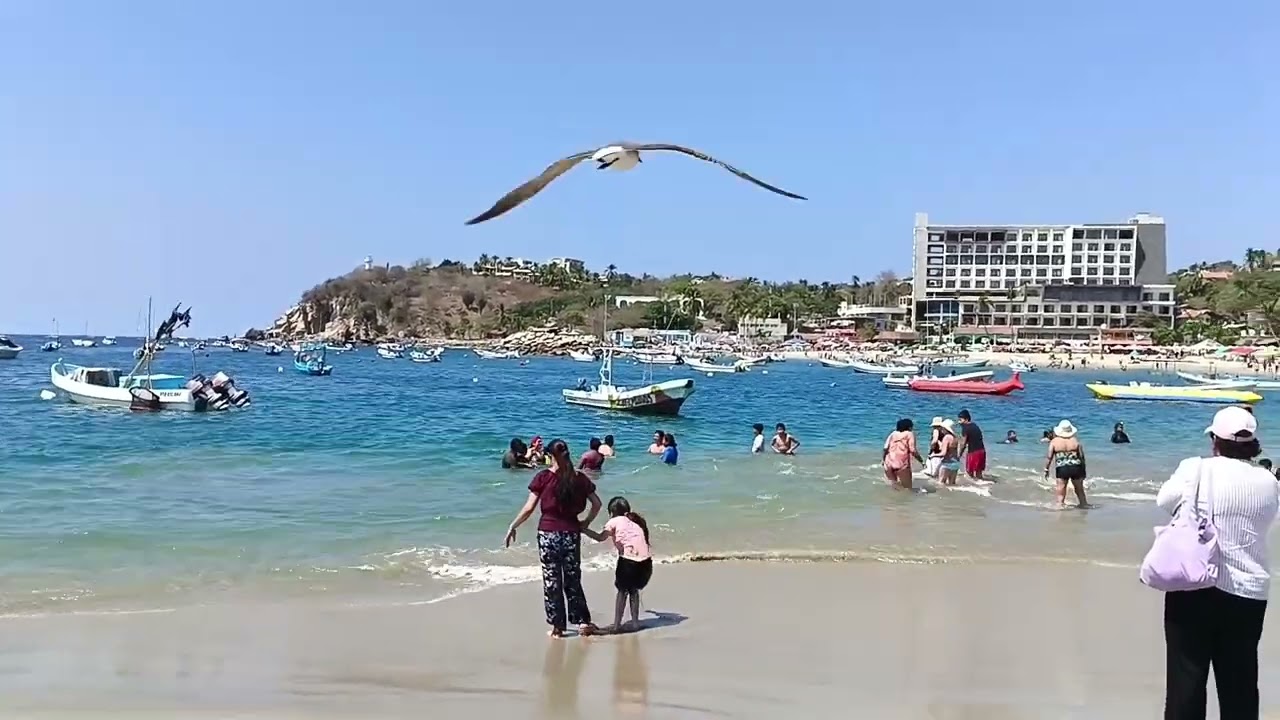 La bahía principal de Puerto escondido Oaxaca || playa 🌴