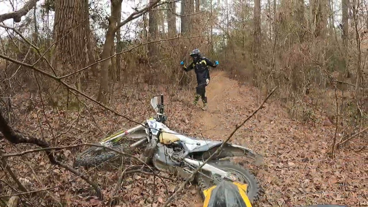 Keith meets a nice tree in the woods.
