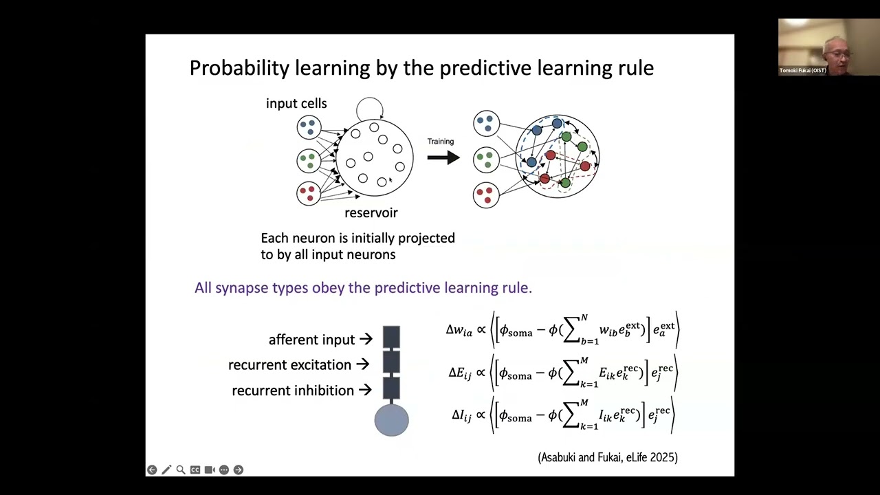 Tomoki Fukai - Spontaneous replay of memory assemblies in plastic spiking network models