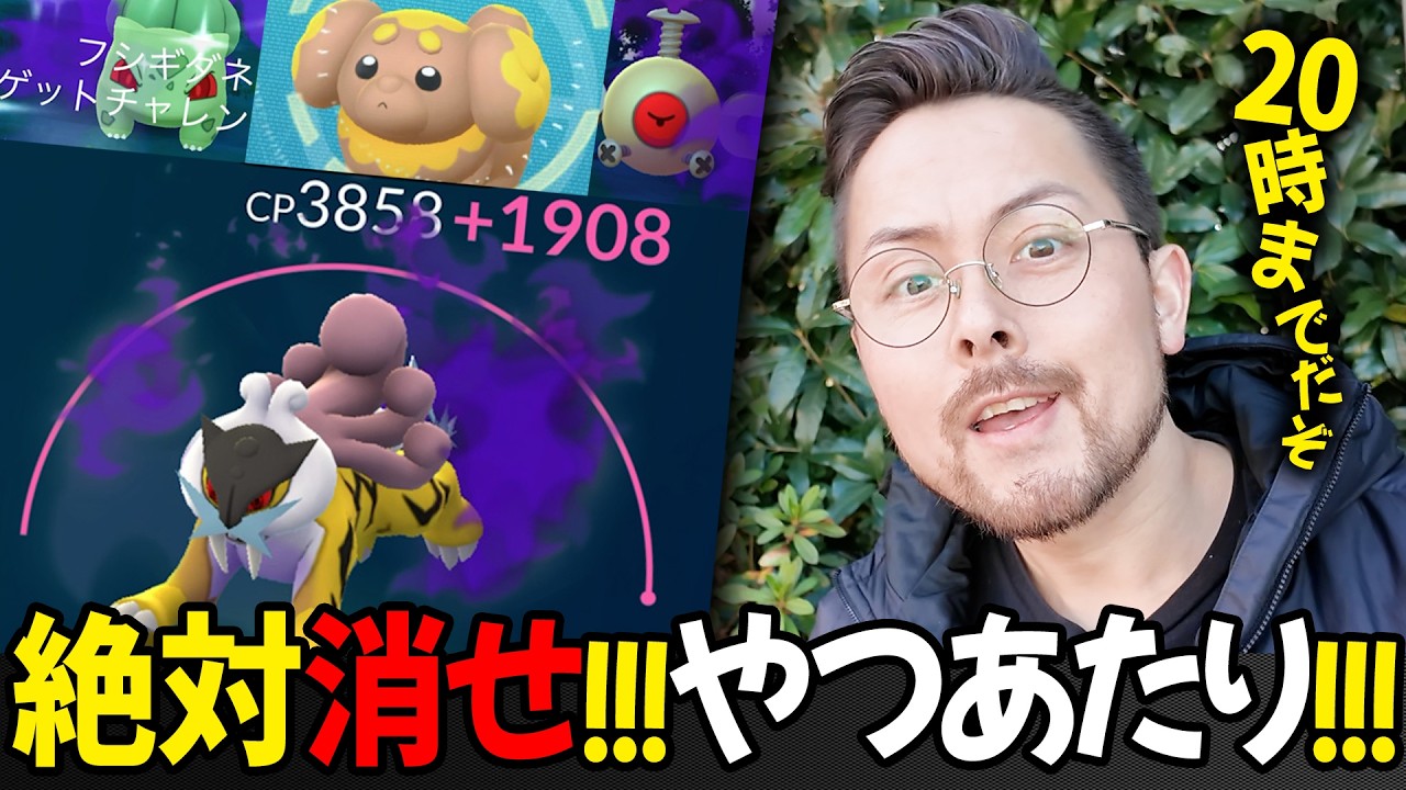 色シャドウきたきた！！シャドウライコウMAX強化！強いしイイ感じだけど…？？やつあたり20時までに消し忘れずに！！！【ポケモンGO】