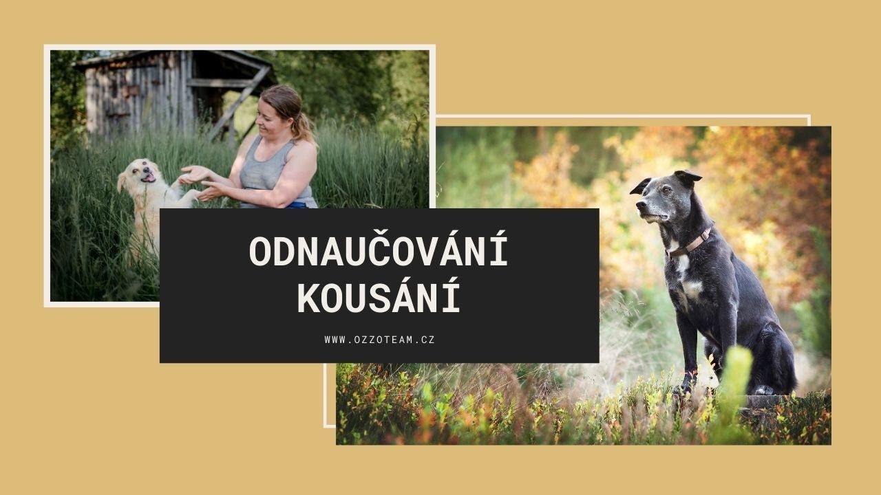 Odnaučování kousání
