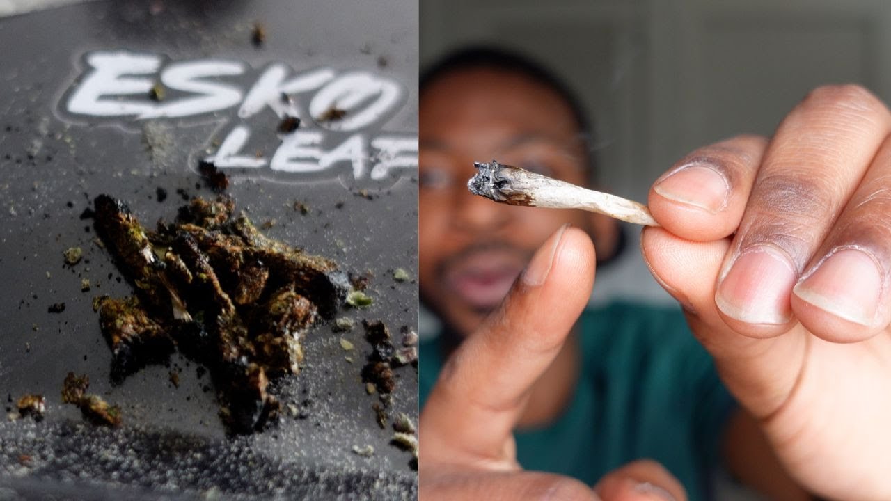 I Rolled 6 roach joints because I ran out of Weed + Smoke Sesh