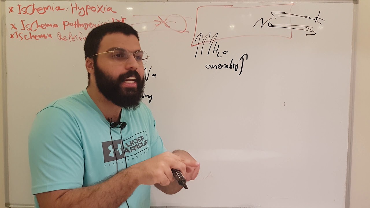 cell injury 2 ( part 1 ) 