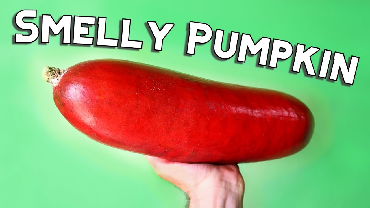 CASSABANANA - Giant Red Hotdog of Fruits! - Weird Fruit Explorer