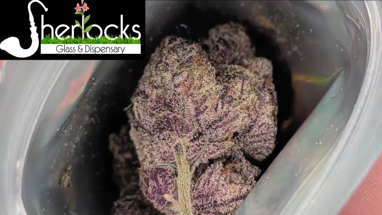 FIRST LOOK! 🚨 SherlocksGlass 