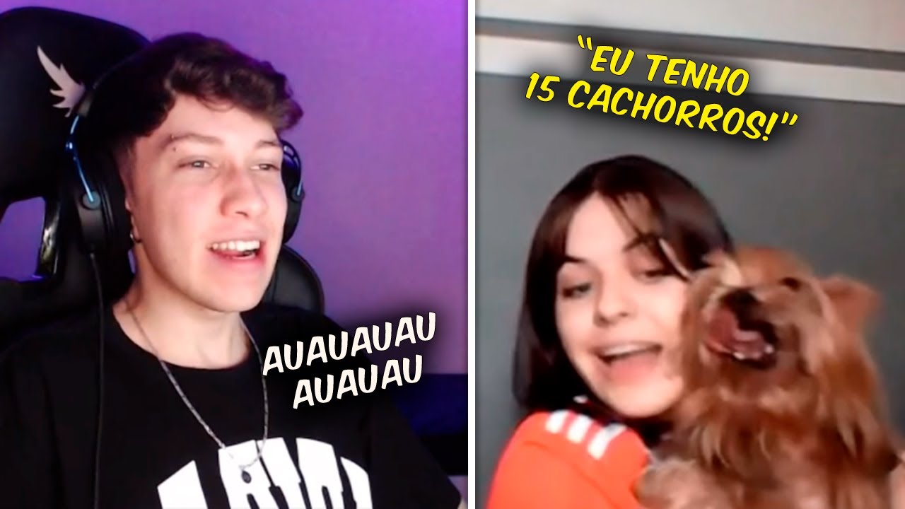 eu vivi a TERCEIRA GUERRA CANINA