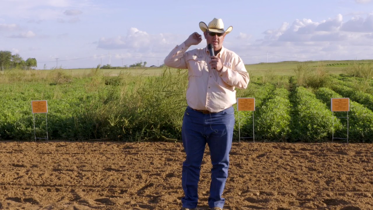 Weed Control in Peanuts