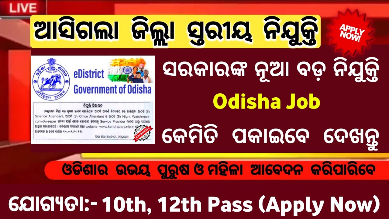 Odisha District Level Govt Job 2023/Job Vacancy 2023/Job alert Odisha 2023/Free job alert/Odisha job