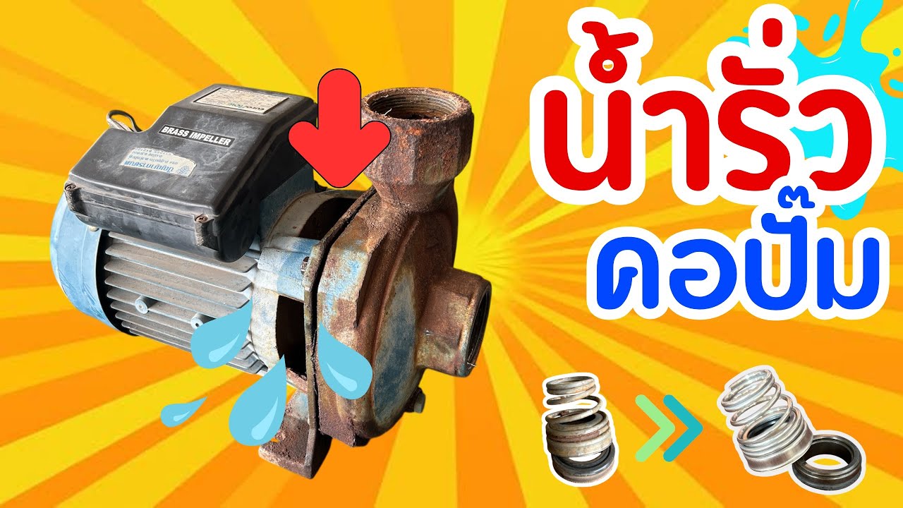 เปลี่ยนซีลปั๊มน้ำ 2 แรง 2 นิ้ว แก้อาการน้ำรั่วคอปั๊ม |@ร้านทีอาร์ การไฟฟ้า ( TR ELECTRIC )