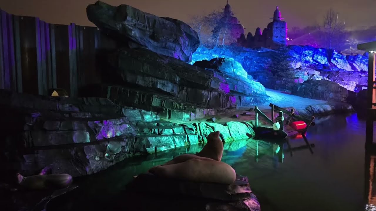 Wildlands Adventure Zoo Emmen Wildnights 2024/2025
