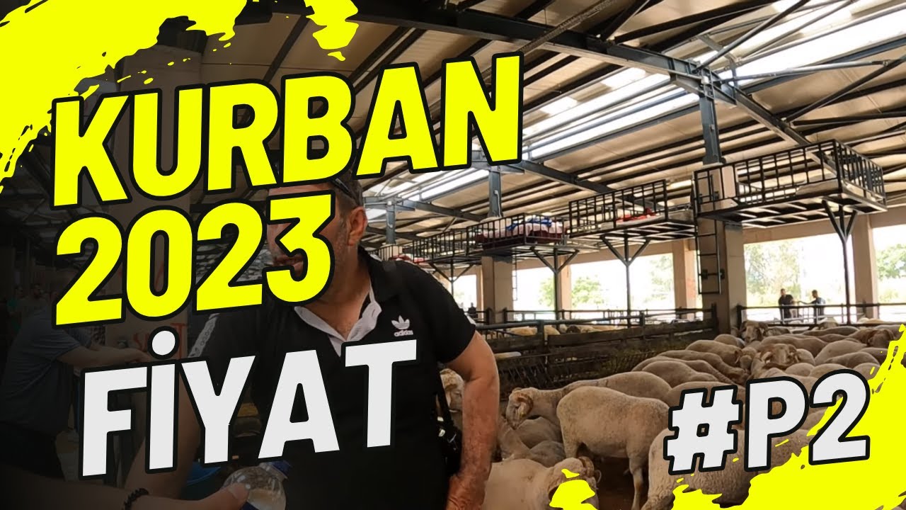 küçük baş kurban fiyatları