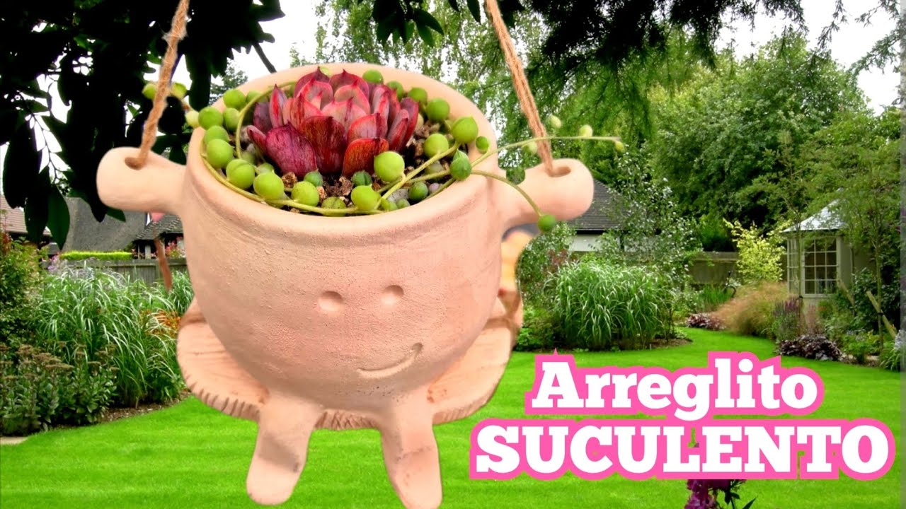 Arreglito colgante suculento y tour por Aeonium #terrasuculenta