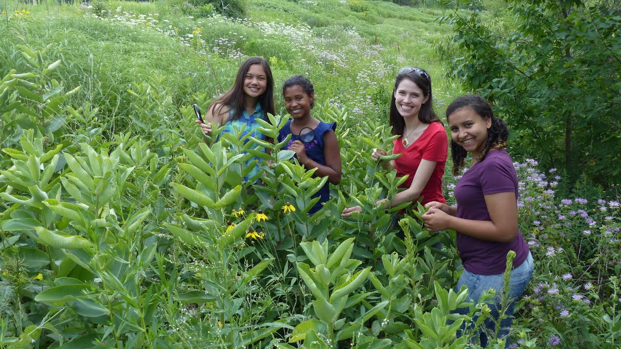 SciGirls 304: Butterfly Diaries