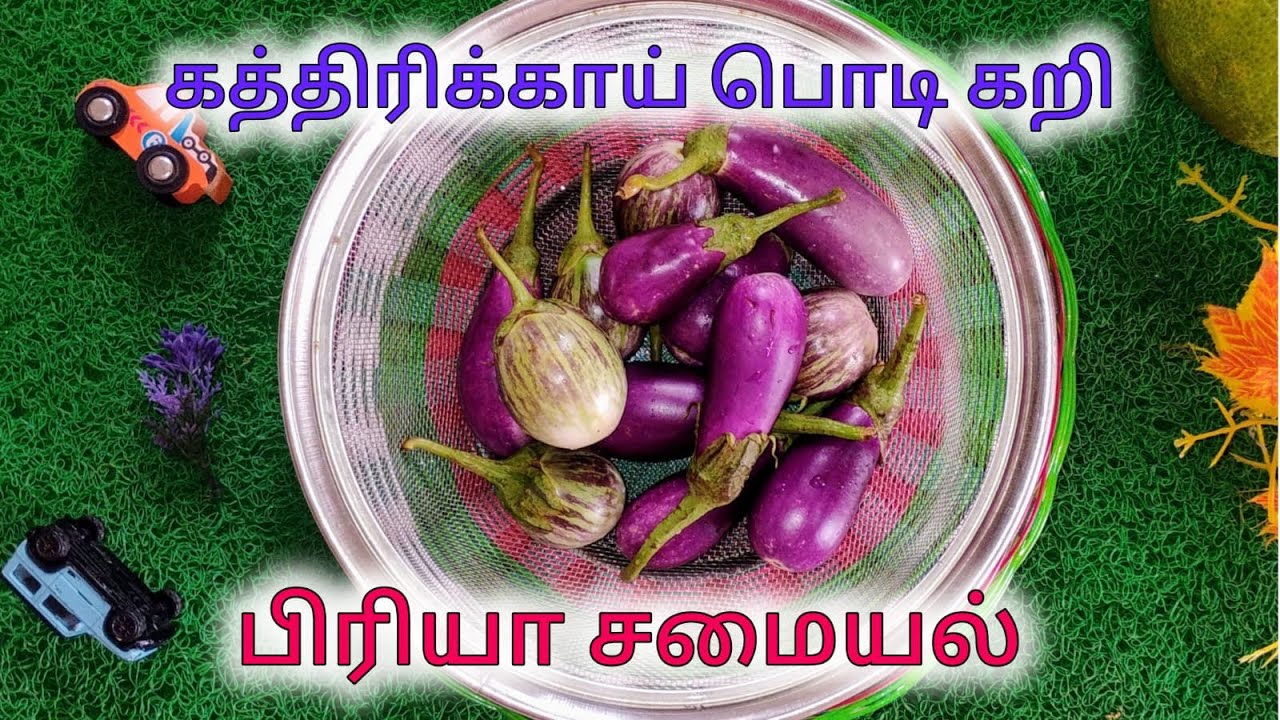கத்திரிக்காய் பொடி கறி🍆 | Brinjal Podi Curry 🍆 | Priya Samayal
