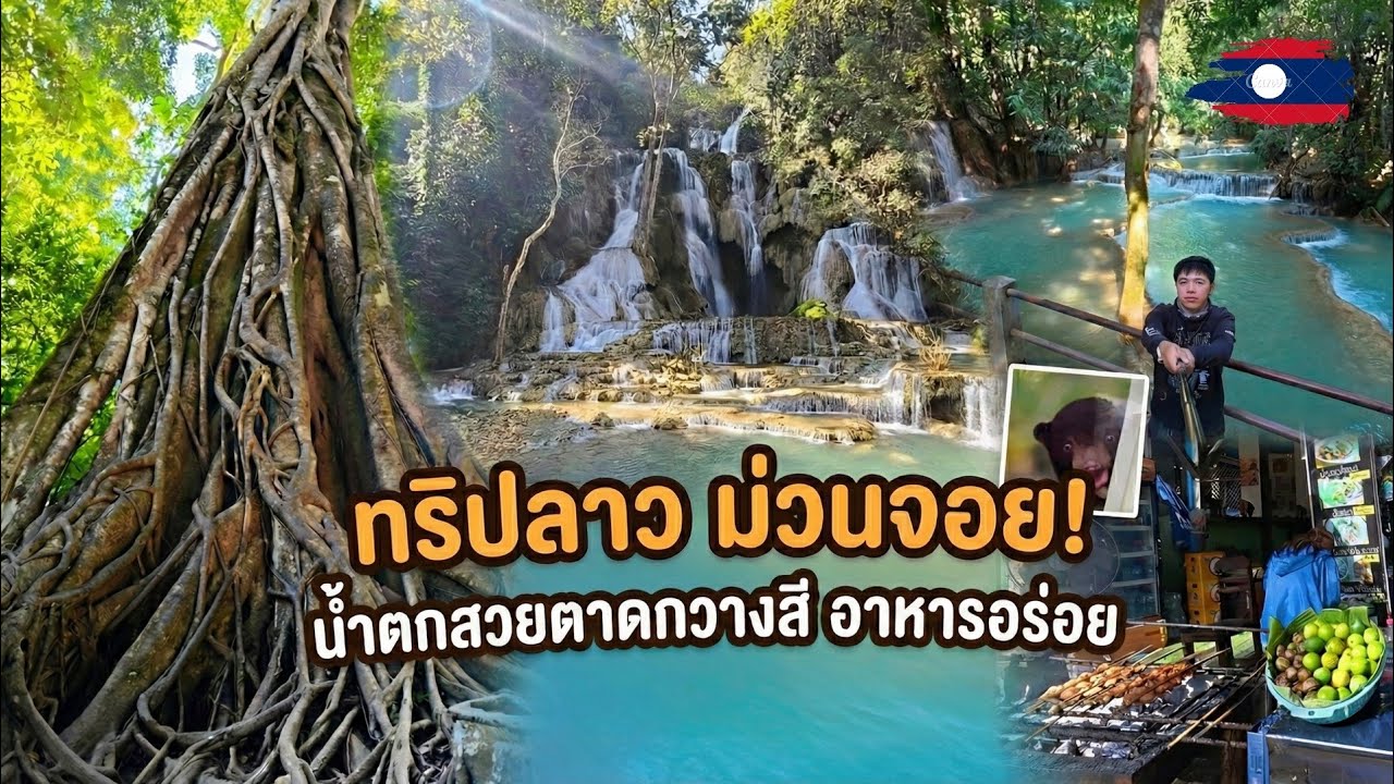 🇱🇦 พาเที่ยวตาดกวางสี น้ำสีฟ้าใส ธรรมชาติสวยงาม หลวงพระบาง #เที่ยวลาว 