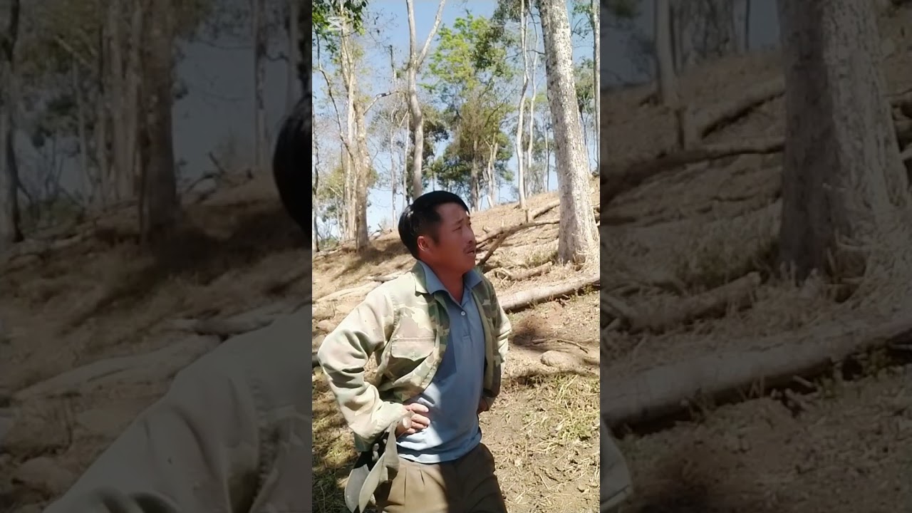 16 /2/2026.ua nu muag lo tsi sib hlub