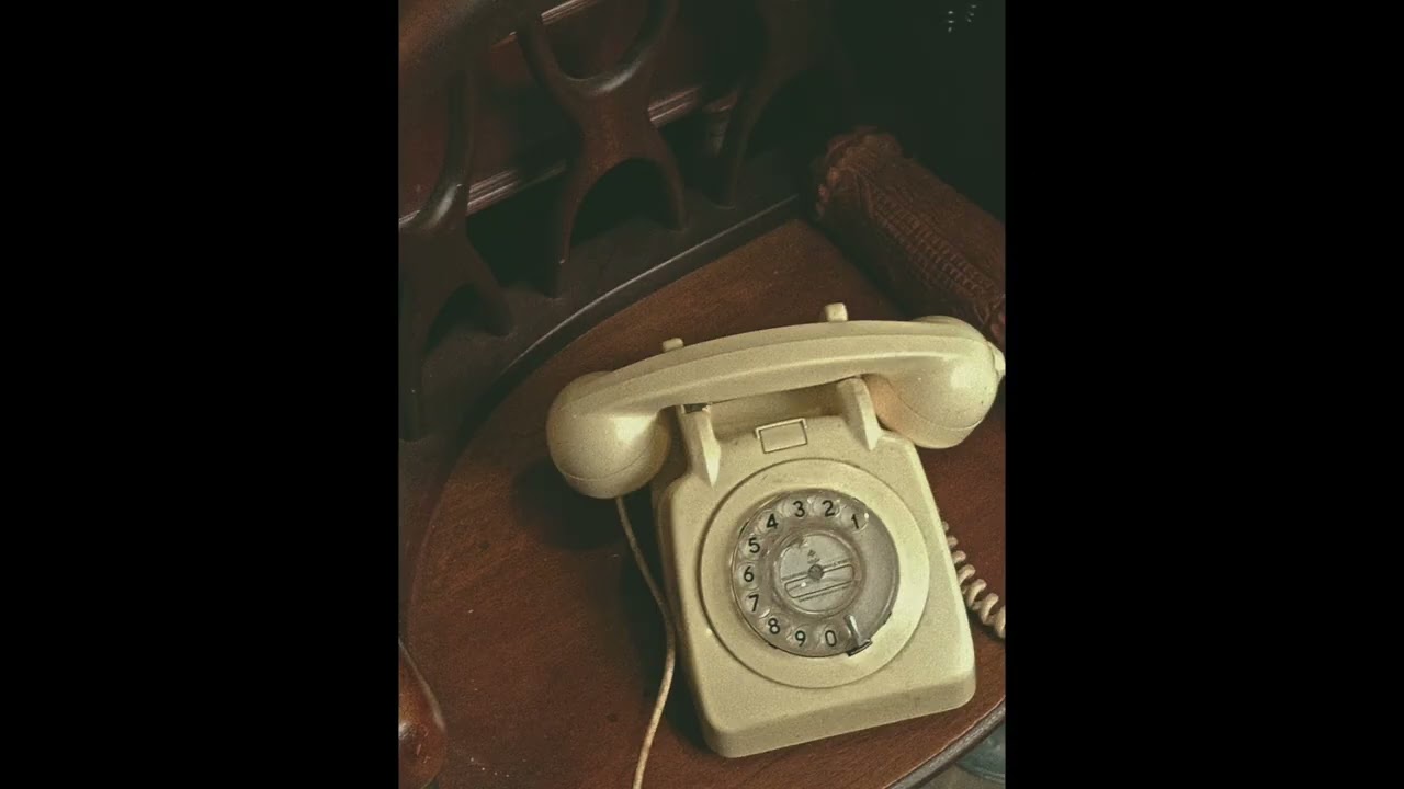 please please please (pdubcookin flip)