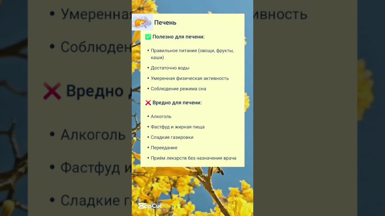 Что Полезно для Печени. #здоровыйобразжизни #здороваяэнергия #healthydiet #health