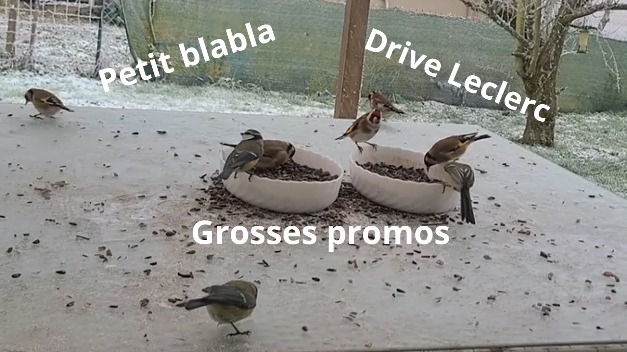 Petit blabla & Grosses promos  Drive Leclerc #retourdecourses