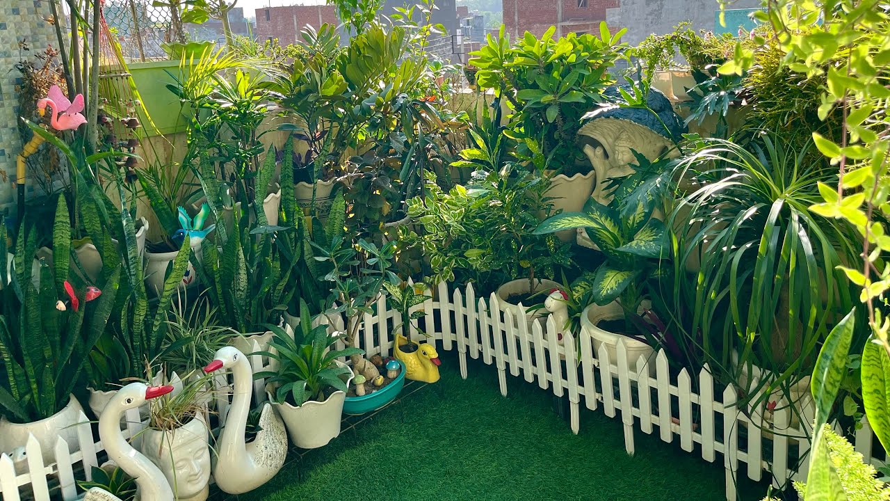 small mini garden ka makeover kaise kare #viral #gardenmakeover #gardentour #gardening 