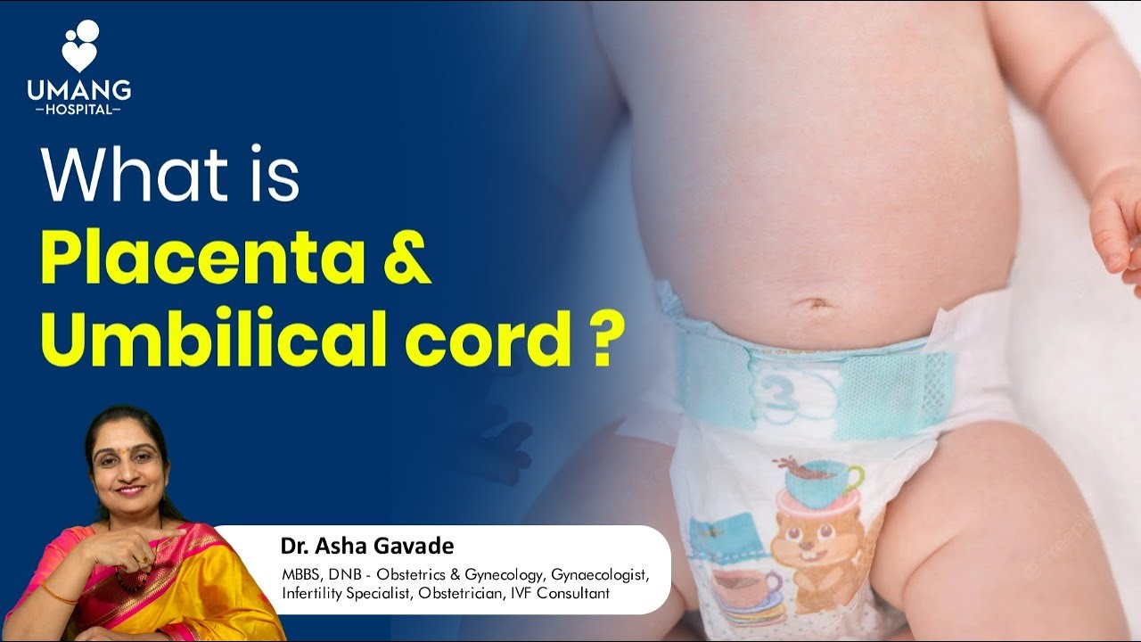 What is Placenta & Umbilical cord | Dr. Asha Gavade | Umang Hospital