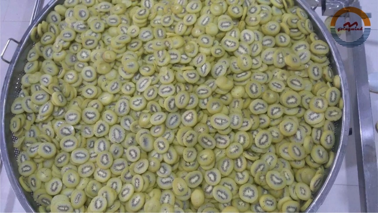 Automatic kiwi fruit washing peeling slicing blanching de-watering line kiwifruit processing plant