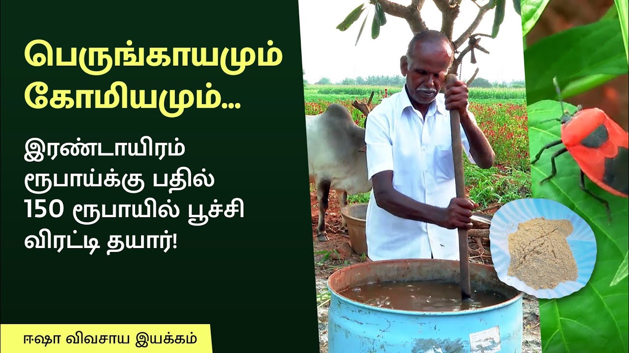 எந்தவித ரசாயனமும் இன்றி 2000 ரூபாய்க்கு பதில் 150 ரூபாயில் பூச்சி விரட்டி தயார்!