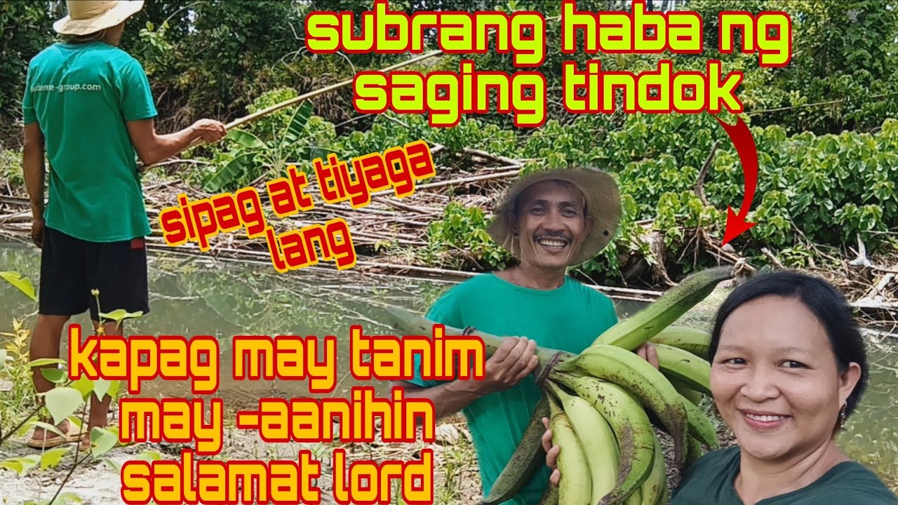 SUBRANG HABA AT LAKI NG SAGING TINDOK//TEAM AMIHAN CHALLENGE@JoxMTV @JaperSniperOfficial 