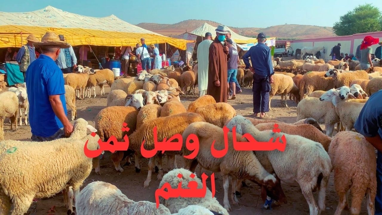 سوق الحد ديال المعازيز 🐑 اللحم والفواكه مازال رخاص