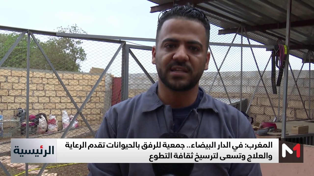 جمعية  تقدم الرعاية والعلاج للحيوانات بالدار البيضاء