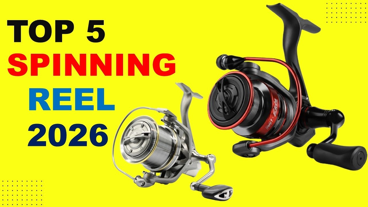Top 5 Spinning Reel in 2026