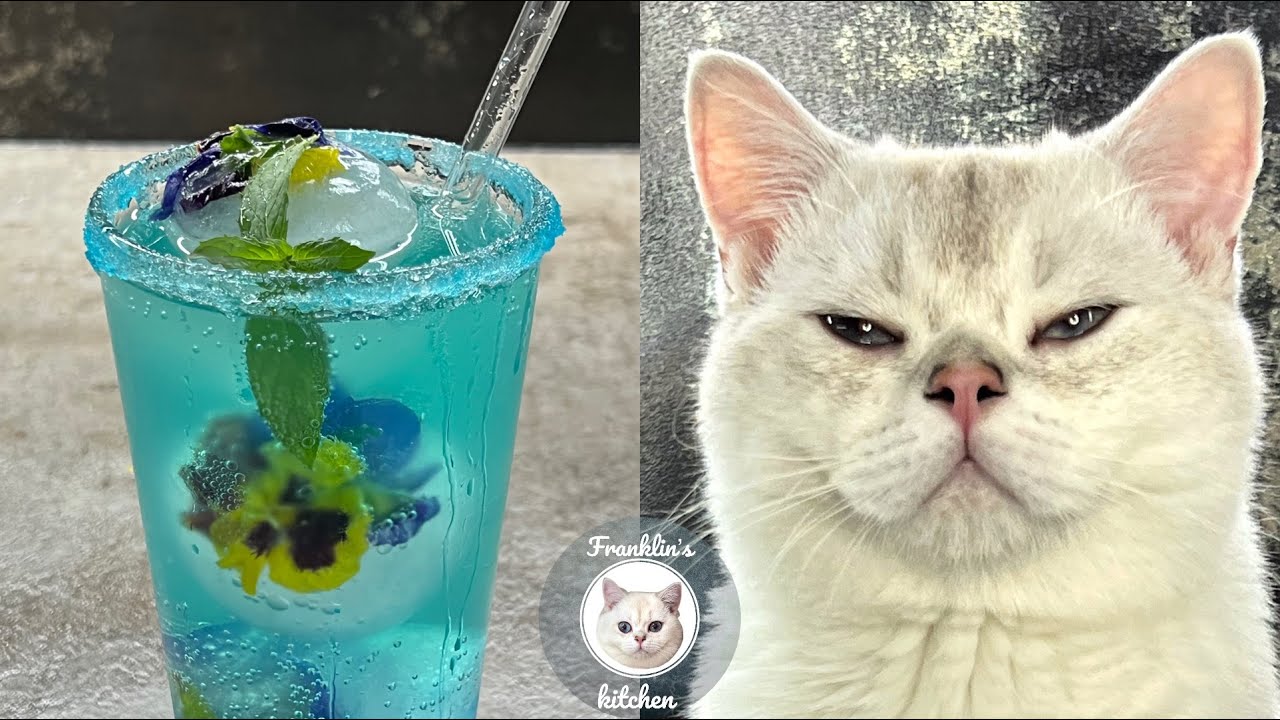 Refreshing blue Cocktail🍹with Flowers 🌺 #shorts