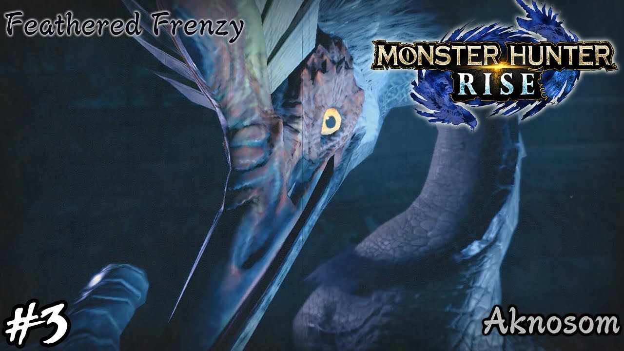 Monster Hunter Rise - Part 3: Dancing with Aknosom & Tetranadon! (Village Solo)