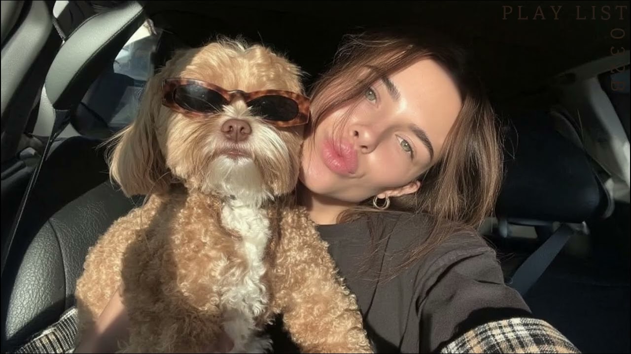 𝐩𝐥𝐚𝐲𝐥𝐢𝐬𝐭 속 시끄러울 땐 일단 갱얼쥐랑 chill 드라이부 가보자고,,,🐕🎧
