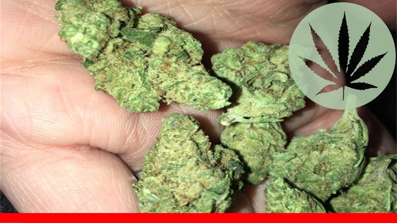Tangerine Man - All About This Strain