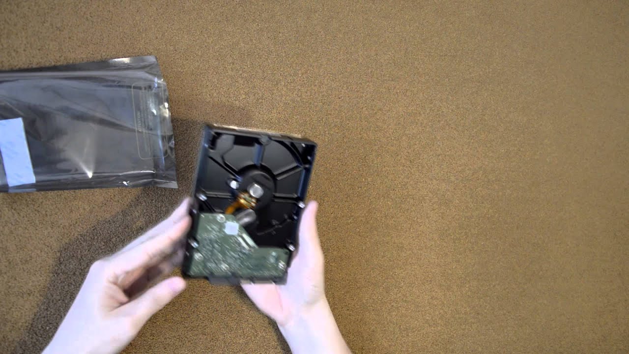 Жесткий диск WD Caviar Blue WD10EZEX, 1Тб, HDD, SATA III, 3.5